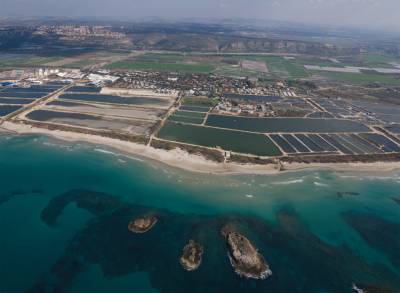 מעגן מיכאל ממעוף ציפור